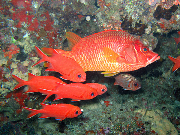 %_tempFileName0985_fische%
