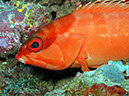 %_tempFileName1210_fisch%